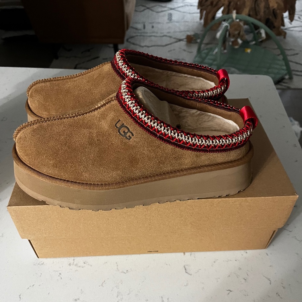 Taz II UGG slippers